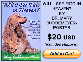 Mary Buddemeyer-Porter