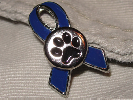 Canine Cancer