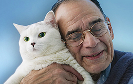 pet loss support for adults