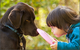 pet loss support for kids