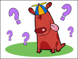 Dog Brains Pet Quiz
