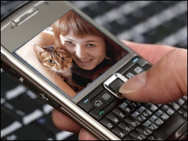 Pet Loss Hotline Numbers