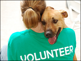 Pet Loss Outreach Programs
